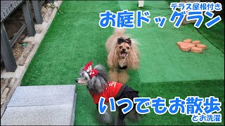 【お庭ドッグラン】愛犬のためにお庭は屋根付き人工芝のドッグランになりました トイプードル ドッグラン [upl. by Ursas]