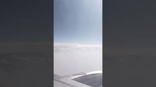 inflight likeforlikes shortvideo comment [upl. by Aerb]