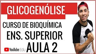 GLICOGENÓLISE  AULA DE BIOQUÍMICA PARA ENSINO SUPERIOR  Prof Patrick Gomes [upl. by Berk]