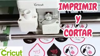 🤩 IMPRIMIR Y CORTAR CON CAMEO O CRICUT  SUBLIMACIÓN [upl. by Tebzil]