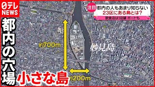 【穴場】東京23区にある”島”に観光客が来るワケは？ [upl. by Tressia336]