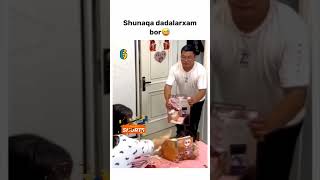 SHUNAQA DADALARXAM BOR 😂❤️funny 1mln comedyvideos instagram subscribe japan rek rells [upl. by Akinat129]