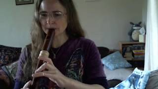 Recorder composition quotPlumwoodquot on a Mollenhauer Dream Edition Treble Alto Recorder [upl. by Nillad350]