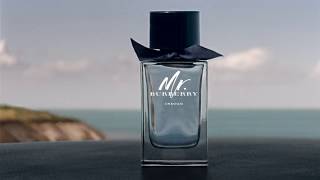 Burberry MrBurberry Indigo for Men Woda toaletowa spray 100ml [upl. by Einnaej]