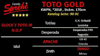 Toto Gold v Glock´s Toto Jr  Apache  Tango [upl. by Iong]