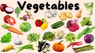 Vegetables name  vegetables name in english  Vegetables name with pictures [upl. by Spielman717]