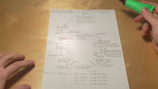 Ciclo di Krebs Semplificato  Biochimica [upl. by Burdelle128]