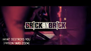 Brick By Brick  What Destroys You Official Live Video [upl. by Nabalas]