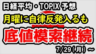 【日経平均・TOPIX】月曜日の上昇がそのまま続くのかは不透明、相場の転換シグナルをしっかり確認する必要性あり【週間日本株予想 2024729～】 [upl. by Areht481]