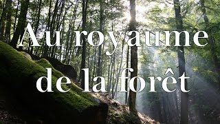 Au royaume de la forêt [upl. by Kaye]