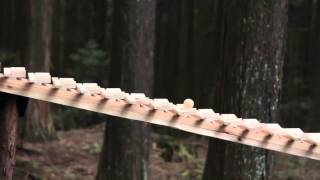 Forest Xylophone Plays Bach  森の木琴 HD [upl. by Raama919]