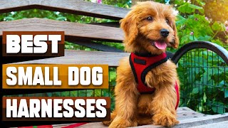 Best Small Dog Harnesses In 2024  Top 10 Small Dog Harnesses Review [upl. by Weaks]