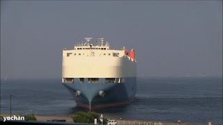 Vehicle Carrier  Roro ship SWAN ACE Owner MOL Ship Management IMO 9338826 Turning around [upl. by Pegma]