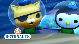 Octonauts  Action Packed Sea Adventures No5 [upl. by Asoj]