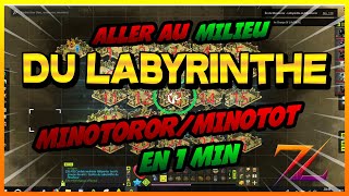 ALLER AU MILIEU DU LABYRINTHE MINOTORORMINOTOT EN 1MIN [upl. by Georgiana876]