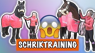 SCHRIK TRAINING MET EVE EN VITO  PaardenpraatTV [upl. by Peggie]