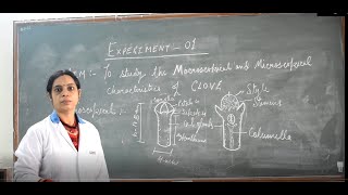 Macroscopical and Microscopical Characteristics of Clove [upl. by Hambley]