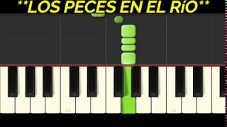 LOS PECES EN EL RÍO  PIANO SYNTHESIA [upl. by Notsirt]