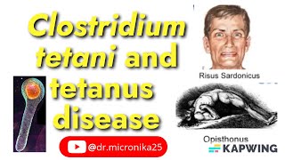 Clostridium tetani and tetanus disease I Tetanus toxin I Audio [upl. by Annawoj]