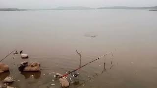 LATEST UPDATE IN RAWAL DAM CARP FISHING 🎣🎣2772027 [upl. by Lynd]