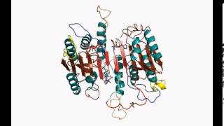 Procaspase3 conformational change [upl. by Violeta503]