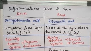 Difference  DNA  RNA  EASILY EXPLAINED  HANDWRITTEN  SUBSCRIBE MY CHANNEL  JOIN PREPARATION [upl. by Delano]