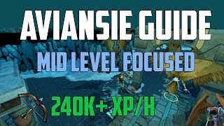 Runescape 3  Aviansies guide  240400k XPh Midlevel [upl. by Novoj]