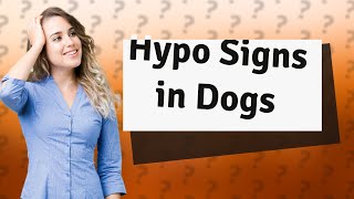 What are the signs of hypo in a diabetic dog [upl. by Ezara]