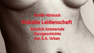 Eiskalte Leidenschaft  Erotik Hörbuch von SA Urban  erotische Kurzgeschichte lesung hörbuch [upl. by Atikahs]