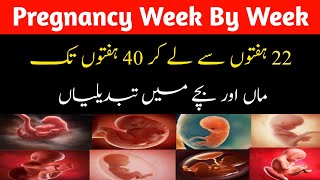 pregnancy week by week Baby Development Week by Week  Weeks Pregnancy Early Pregnancy Symptoms [upl. by Inoue531]