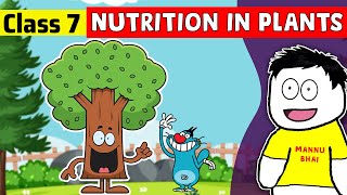 Nutrition in Plants Full Chapter Class 7 Science  NCERT Science Class 7 Chapter 1 [upl. by Assenov]