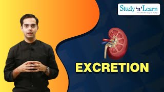 Excretion  Renal Failure and Dialysis  Excretory System in Human  Disorder of Kidney [upl. by Sardella934]