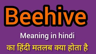 Beehive meaning in Hindi  Beehive ka kya matlab hota hai  online English speaking classes [upl. by Tibbetts]