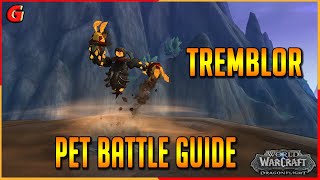 Tremblor Pet Battle Guide  Dragonflight Legendary [upl. by Annatsirhc]