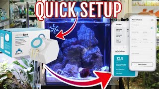 Easy Setup of Aquavitro Sentia Doser on UNS 40A All in on reef system [upl. by Woodcock656]