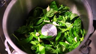 Make pesto genovese with the YAZICILAR L20IV Cutter [upl. by Atwekk152]