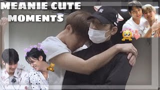 minwonmeanie cute moments mingyu and wonwoo moments [upl. by Ronel]