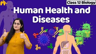 Human Health and Diseases Class 12  Biology NCERT Chapter 7 One Shot  CBSE NEET [upl. by Ulu]