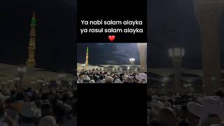 Ya Nabi Salam Alaika  Salato Salam in Madina Masjid E Nabvi  shorts ytshorts ramzan2024 [upl. by Ajar26]