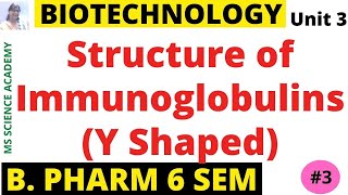 Structure of ImmunoglobulinsPharmaceutical BiotechnologyUnit 3 B Pharmacy 6 SemLect3 [upl. by Akenehs]