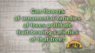 Can ornamental trees pollinate fruit bearing varieties of that tree [upl. by Aronek]