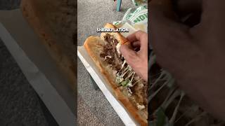 Subway Sandwich Shrinkflation [upl. by Yobybab]