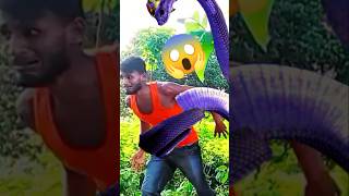 Anaconda Snake 🐍 Chase In Real Life Village 😱 shorts youtubeshorts ytshorts [upl. by Nana849]