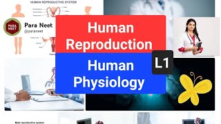 Reproductive System Lecture 1 [upl. by Minetta]