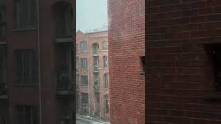 Snow ❄️ in Manchester UK 🇬🇧 2024 [upl. by Revned]