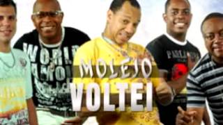 Molejo Voltei Vou Voltar Pra Sacanagem [upl. by Joelle]