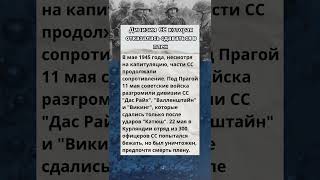 Дивизия СС которая отказалась сдаваться в плен 😱 история интересныефакты армия война вов [upl. by Vasiliki205]