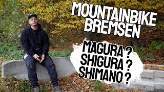 Mountainbike Bremsen  Magura vs Shigura vs Shimano  Bremsscheiben amp Bremsbeläge  Bike and Ride [upl. by Atinuahs]