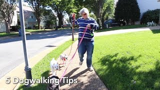 5 Dog Walker Tips [upl. by Rammaj]