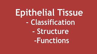 Epithelial Tissue  Classification Structure and Functions ENGLISH  Dr Shikha Parmar [upl. by Htiaf]